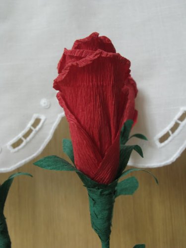 IMG_1788.JPG